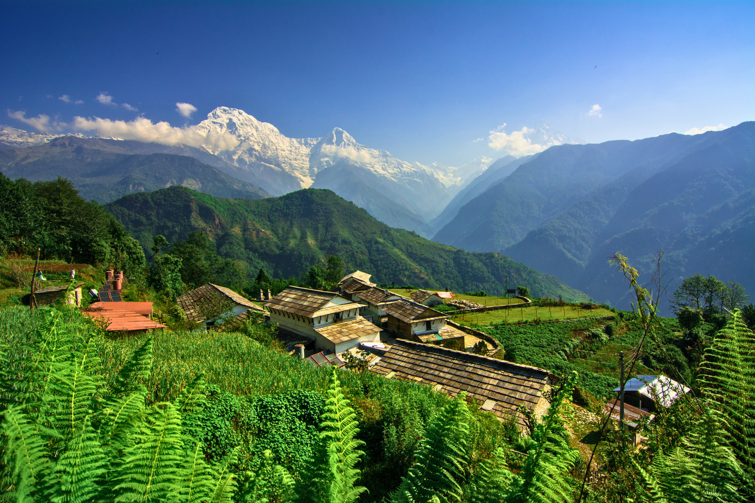 ghandruk (3).webp